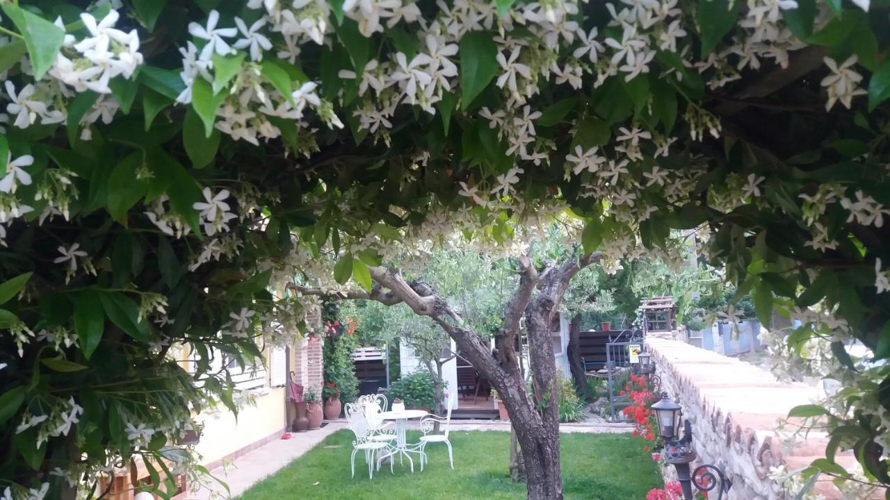 Ferienwohnung Ca Del Lago Misano Misano Adriatico Exterior foto